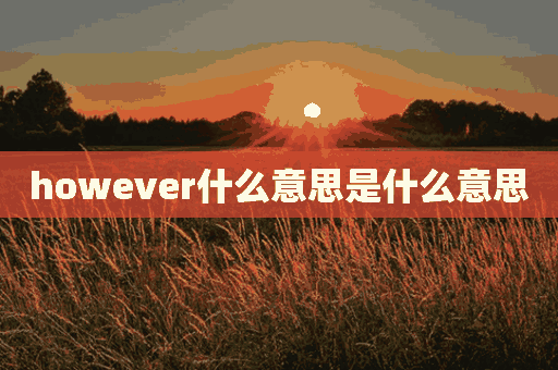 however什么意思是什么意思